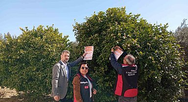 Kozan'da arıların korunmasına yönelik çalışma başlatıldı