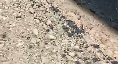 Kurtalan'da yeni yapılan yolun tehlike oluşturduğu iddiası