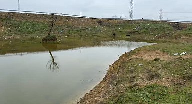 Kuruyan gölet yeniden canlandı: Çatlayan topraklar suyla buluştu