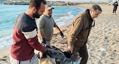 Kuşadası'nda 2 yeşil deniz kaplumbağası ve 1 caretta caretta ölü bulundu