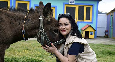 Kuşadası'ndan saplandığı çamurdan kurtarılan eşek koruma altına alındı