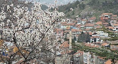 Kütahya'da badem ağaçları çiçek açtı