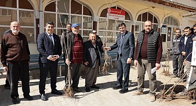 Kütahya'da yerel kiraz türleri yeniden toprakla buluşuyor