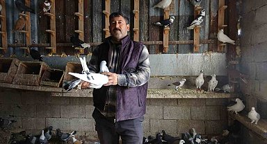Kuzeninin 7 yaşındayken kendine verdiği güvercinle başlayan hevesini 45 yıldır yaşatıyor