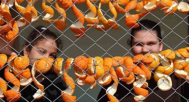 Limon ve turunç kabukları kadınların elinde değerleniyor