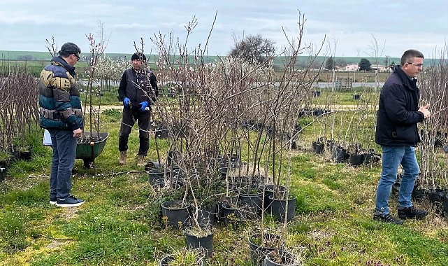 Lüleburgaz'da fidan satış noktalarına denetim