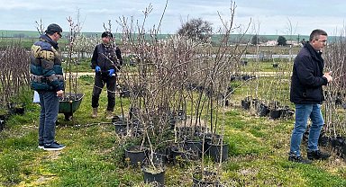 Lüleburgaz'da fidan satış noktalarına denetim