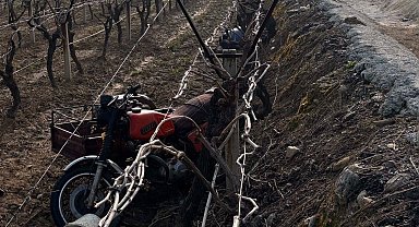 Manisa'da sepetli motosiklet üzüm bağına uçtu: 1 ölü