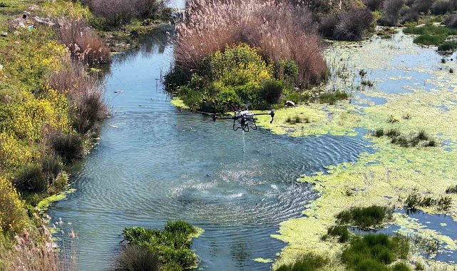 Manisa'da sivrisinek alarmı