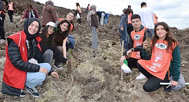 Manisa'da yanan alanlar yeniden yeşeriyor