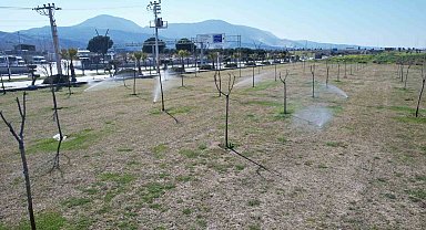 Manisa'da yeşil alanlarda akıllı sulama dönemi başladı