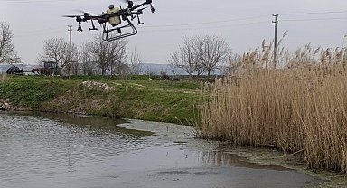 Manyas'ta sivrisinek ile mücadele seferberliği