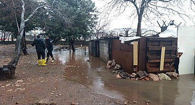 Mardin'de su basan kümeste 5 tavuk telef oldu
