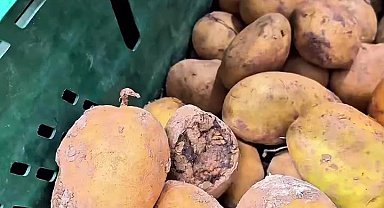 Market raflarında tarihi geçmiş tavuk ve içecek alarmı