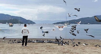 Marmaris'te güvercinler kışın boşalan sahili mesken tuttu