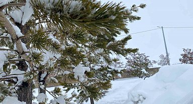 Mart ayında Ağrı'da kar yağışı etkili oldu