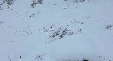 Mart sonunda Karıncalı Dağ'da kar sürprizi