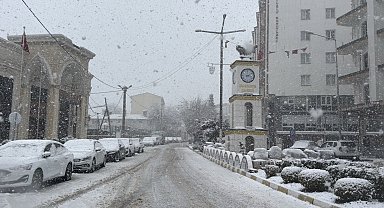 Mazıdağı'nda mart ayında kar yağışı etkili oldu