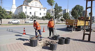 Mersin'de ağaçlandırma seferberliği başladı