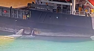 Mersin'de denizi kirleten gemiye 13 milyon TL ceza kesildi, gemi rıhtıma bağlandı