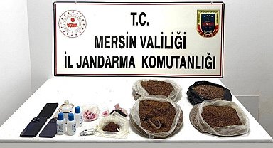Mersin'de uyuşturucu operasyonu: 10,5 kilo bonzai ele geçirildi