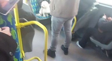 Metrobüste köpek koltukta oturdu, sosyal medyada tartışma başladı