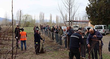 Meyve fidanı satışı 30 Mart'ta yapılacak