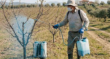 Meyve üreticilerine bordo bulamacı uyarısı