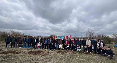 Mihalıççık'ta 100 fidan toprakla buluştu