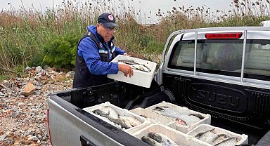 Milas'ta kaçak avcılığa geçit yok: 80 kilo kefal balığına el konuldu