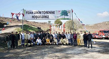 Milas'ta yanan sahalar fidanlarla canlanıyor