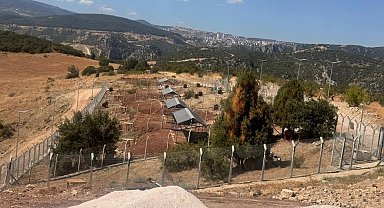 Milyonluk Sokak Hayvanları Doğal Yaşam Alanı ortada kaldı