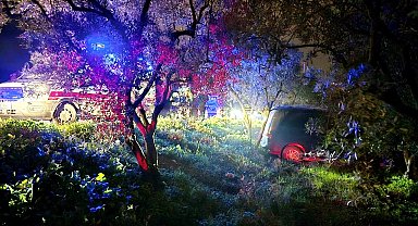 Mudanya'da kazadan kaçan sürücü zeytinliğe daldı