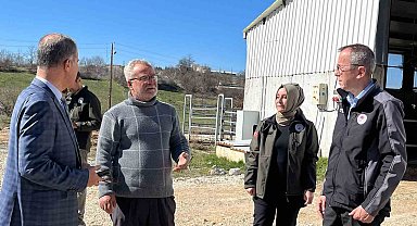 Müdür Ayvalık, üreticilerle tarım ve hayvancılığı inceledi