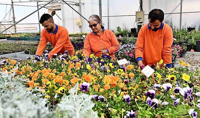 Muratpaşa'dan örnek bitki üretim modeli