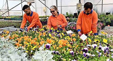 Muratpaşa'dan örnek bitki üretim modeli