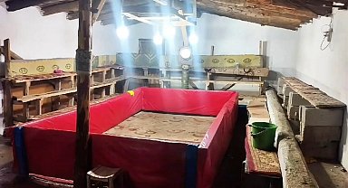 Muş'ta horoz dövüşü yapan 23 kişiye ceza