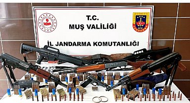 Muş'ta jandarmadan silah ve tarihi eser operasyonu