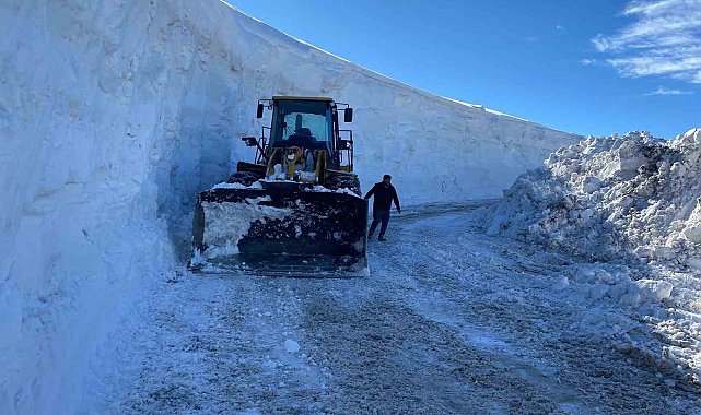 Muş'ta kapanan tüm köy yolları ulaşıma açıldı