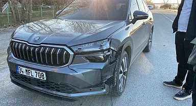 Muş'ta yolun karşısına geçen köpeğe otomobil çarptı