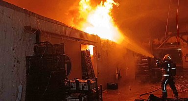 Muz paketleme tesisinde çıkan yangın korku dolu anlar yaşattı