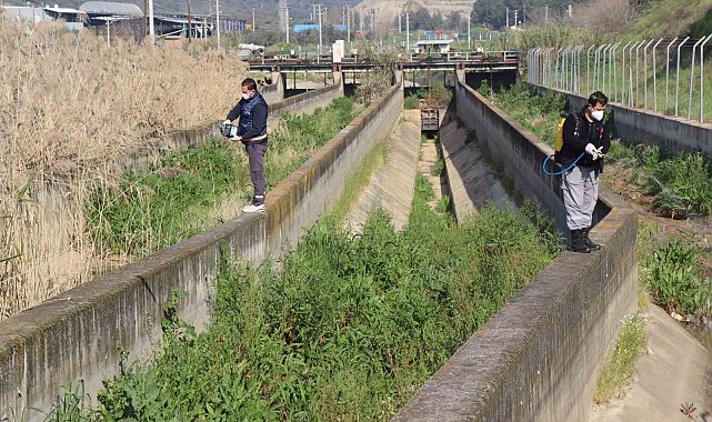 Nazilli Belediyesi sivrisinek ve haşereyle mücadeleye kesintisiz devam ediyor