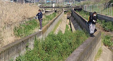 Nazilli Belediyesi sivrisinek ve haşereyle mücadeleye kesintisiz devam ediyor