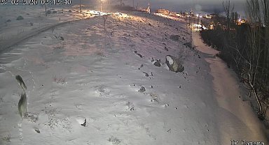 Niğde'de aç kalan kurtlar köye indi