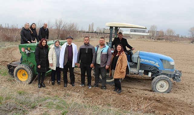 Niğde'de kadın kooperatifleriyle çörek otu ekimi tamamlandı