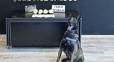 Ocak ayının en başarılı narkotik köpeği "Jardi" oldu
