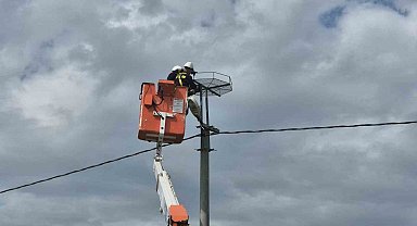 Ölüm hattıydı, yuvalara dönüştü: Bini aştı