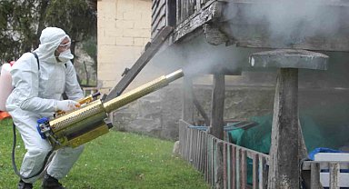 Ordu'da kahverengi kokarca ile kışlak mücadelesi: 330 bin noktadan 190 bini ilaçlandı