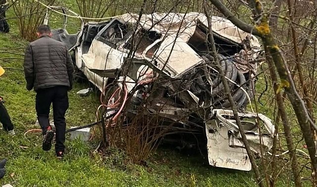 Ordu'da minibüs fındık bahçesine yuvarlandı: 2 yaralı