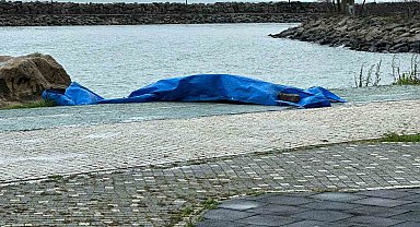 Ordu'da sahile insansız araç olduğu değerlendirilen cisim vurdu